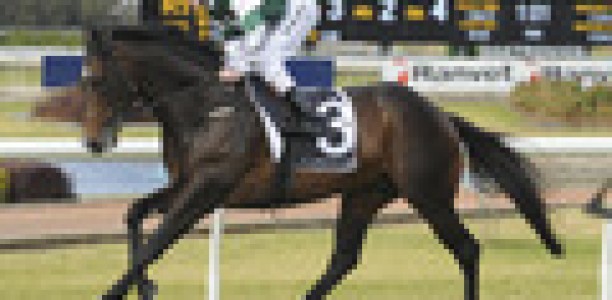 Cluster entered for two races at Randwick