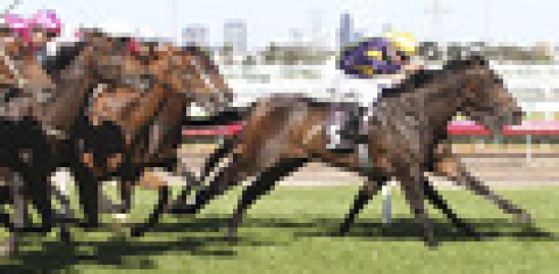 Unbeaten Merion starts road to Caulfield Guineas