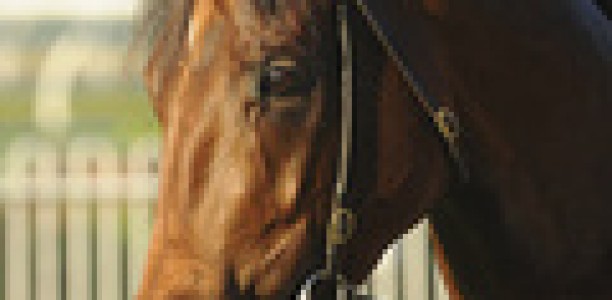 Country trainer charged over positive swab