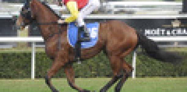 Black type goal for Jacinta