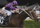 Waller confirms Boban for Memsie Stakes