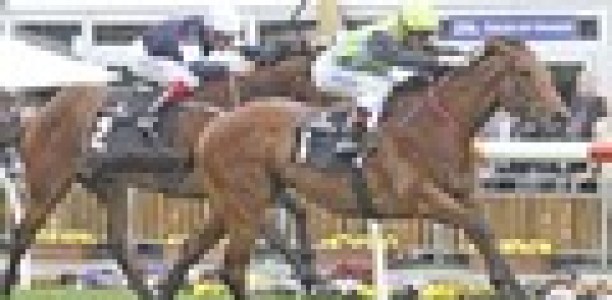 Exhibition gallop for Manawanui at Warwick Farm