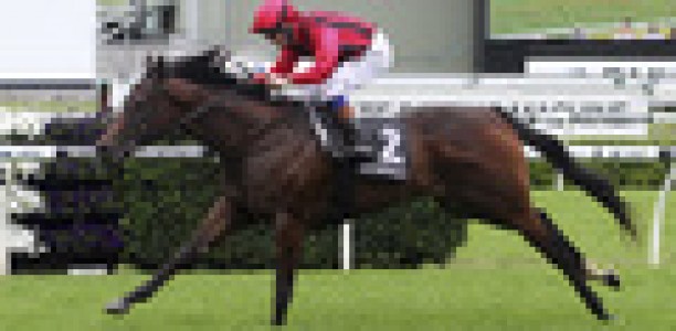 Hallowed Crown to miss Caulfield Guineas