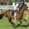 Spring in doubt for Voleuse De Coeurs