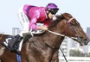 Michael Rodd suspended but clear for Guineas