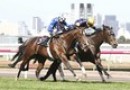 Special trial arranged for Guineas hopeful