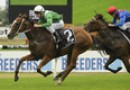 Huge entries for $3.5 million Golden Slipper