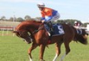 Queensland mentor joins big-name trainers