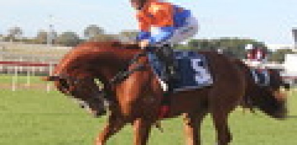 Queensland mentor joins big-name trainers