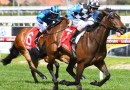 Prophet’s Thumb races to Caulfield victory