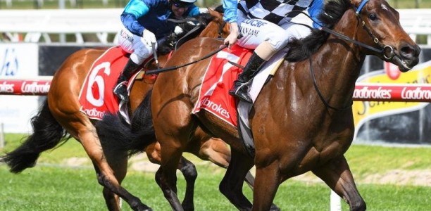 Prophet’s Thumb races to Caulfield victory