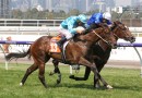 Cox Plate option kept open for filly Flit