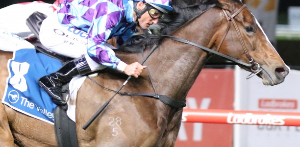 Princess Jenni on target for G1 Toorak Handicap