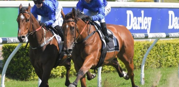 Alizee confirmed to run in The Everest