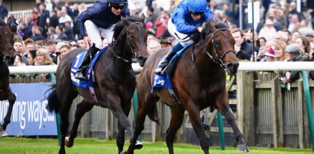 Pinatubo remains unbeaten in Dewhurst Stakes