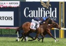 Ben Melham confident ahead of Caulfield Cup