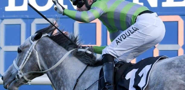 Banged-up Avdulla bags four Randwick wins