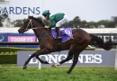 Exceedance primed for G1 Coolmore Stud Stakes