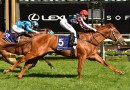 Hugh Bowman to ride Dalasan in Caulfield Guineas