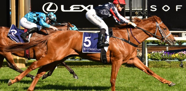 Hugh Bowman to ride Dalasan in Caulfield Guineas