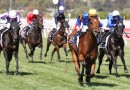 Gilgai Stakes Big Bets, Odds and Best Backed Horses – 2019