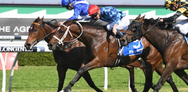 Flight Stakes Big Bets, Odds and Best Backed Horses – 2019