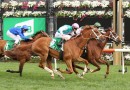 Cox Plate, Melbourne Cup bet could net punter $586,300