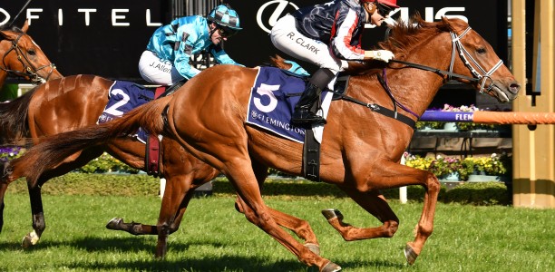 Dalasan heads odds for G1 Caulfield Guineas