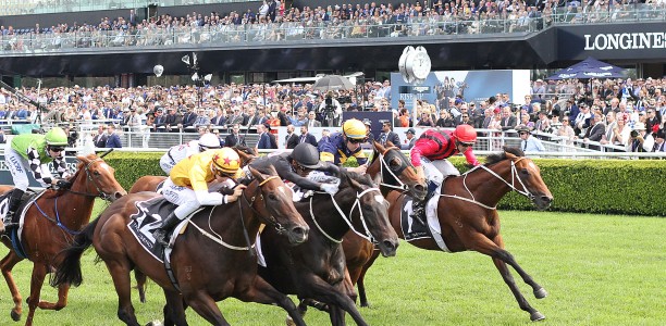 Stan Fox Stakes Field – 2019