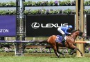 Microphone scratched from G1 Coolmore Stud Stakes