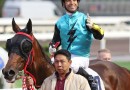 Joao Moreira booked for Melbourne Cup