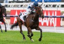 Miami Bound on track for G1 VRC Oaks