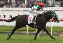 Mer De Glace’s odds shorten following Melbourne Cup barrier draw