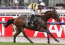 Downdraft ‘perfect’ ahead of Melbourne Cup