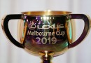 Don’t take Melbourne Cup backwards: owners