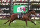 Melbourne Cup ride worth jockeys weight loss struggles