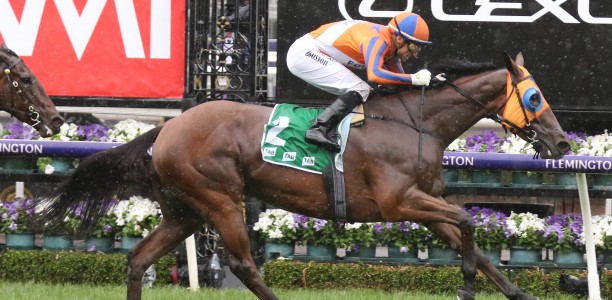 Star NZ mare heads the odds for the G1 Mackinnon Stakes