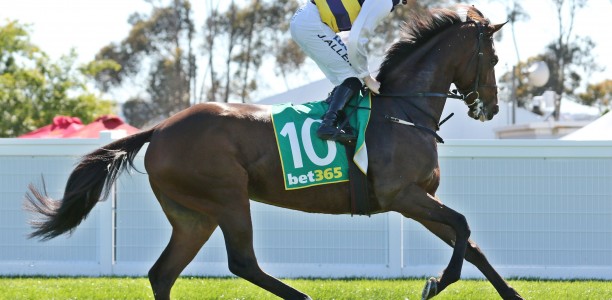 True Self favourite for Queen Elizabeth Stakes