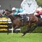 Magic Millions Classic favourite to bypass race