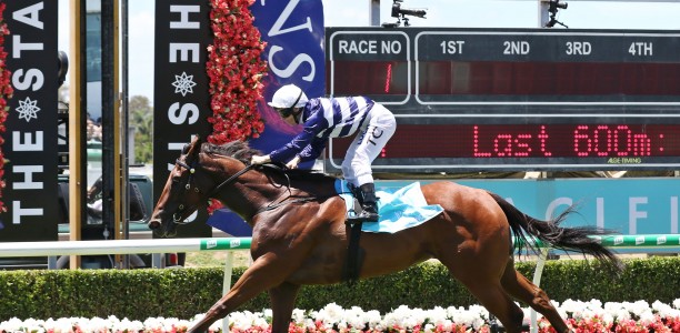 Magic Millions Maiden Plate