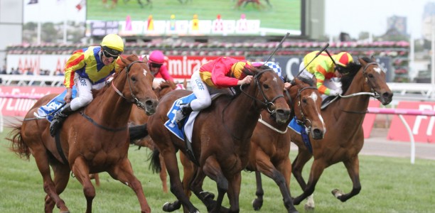 AJ Scahill Stakes Field – 2019