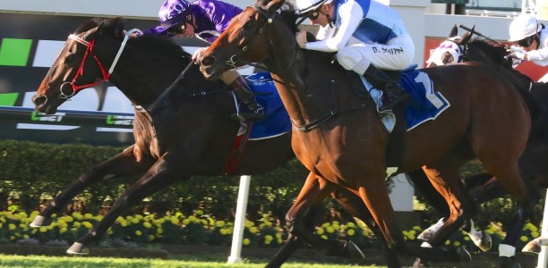 Mount Gambier Cup Field – 2019