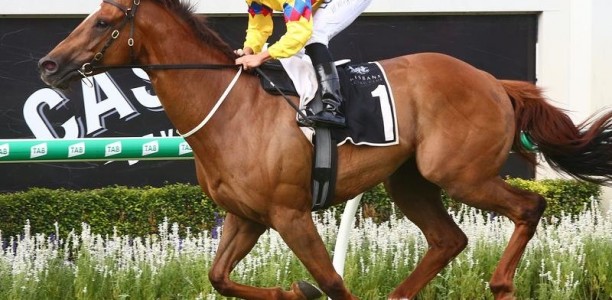 Gollan left with one Brisbane Hcp runner