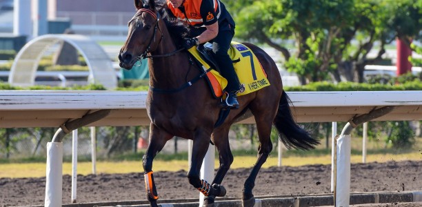 In Her Time out of the Hong Kong Sprint