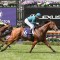 Superhard returns to Flemington for sprint