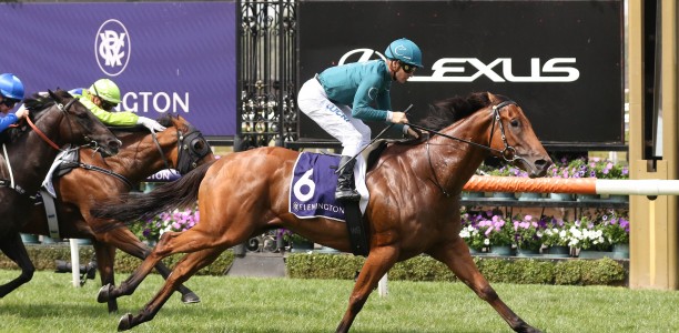 Superhard returns to Flemington for sprint