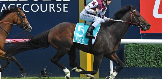 G1 winner dies following track work injury