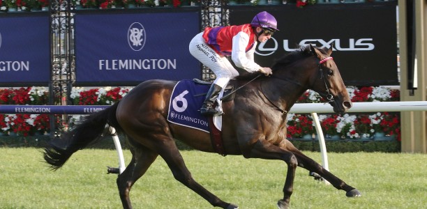 Magic Millions Guineas an option for King Of Hastings