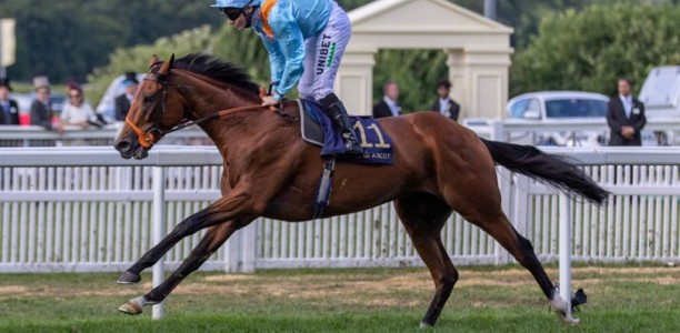 Melbourne Cup runner wins at Newcastle in the UK