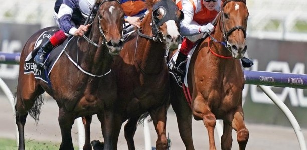 New $1.5m race to boost Brisbane carnival